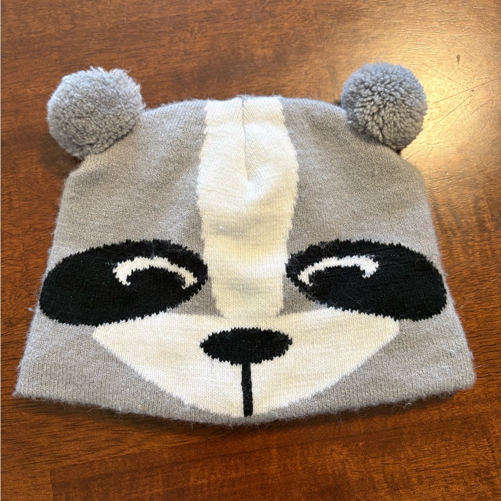 Gray and White Raccoon Knit Beanie